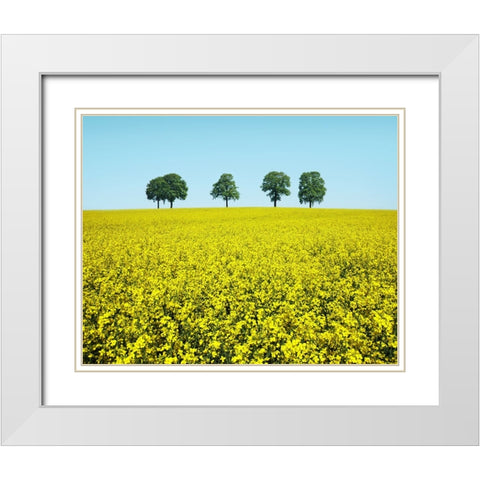 Brothers White Modern Wood Framed Art Print with Double Matting by Heine, Ben