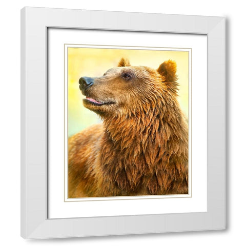Cute Bear White Modern Wood Framed Art Print with Double Matting by Heine, Ben