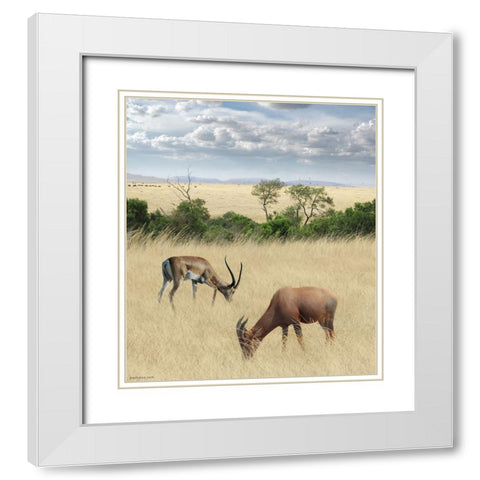 Kenya 2 White Modern Wood Framed Art Print with Double Matting by Heine, Ben