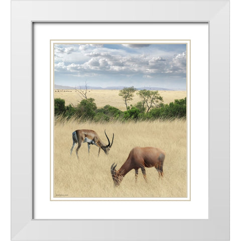 Kenya 2 White Modern Wood Framed Art Print with Double Matting by Heine, Ben