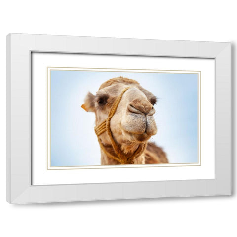 Tunisia 28 White Modern Wood Framed Art Print with Double Matting by Heine, Ben