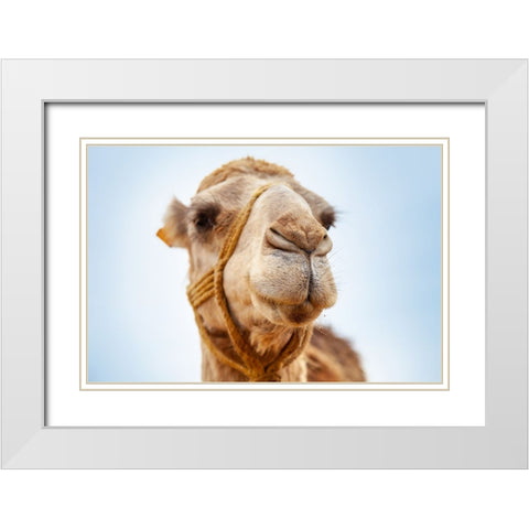 Tunisia 28 White Modern Wood Framed Art Print with Double Matting by Heine, Ben