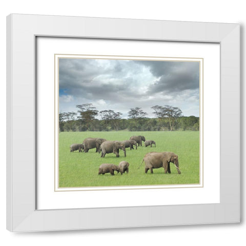 We Are Family 2 White Modern Wood Framed Art Print with Double Matting by Heine, Ben