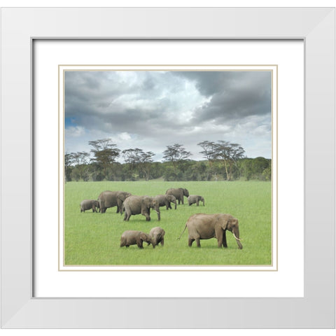 We Are Family 2 White Modern Wood Framed Art Print with Double Matting by Heine, Ben