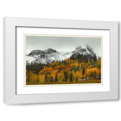 A Rocky Mountain Autumn White Modern Wood Framed Art Print with Double Matting by Sherrell, Bill