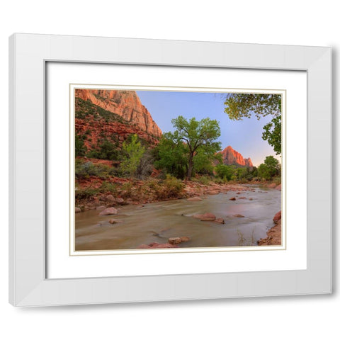 Banking On Beauty White Modern Wood Framed Art Print with Double Matting by Sherrell, Bill