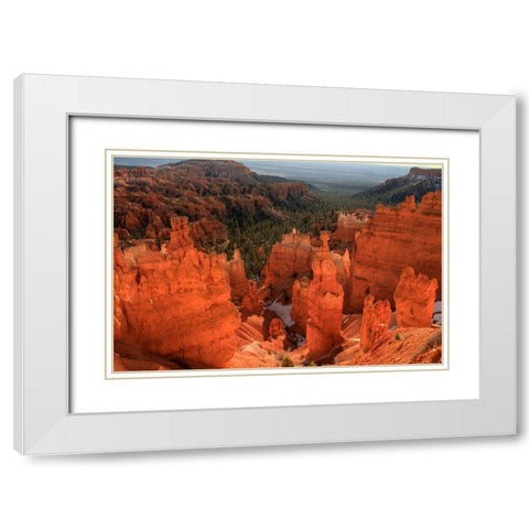Illumination White Modern Wood Framed Art Print with Double Matting by Sherrell, Bill