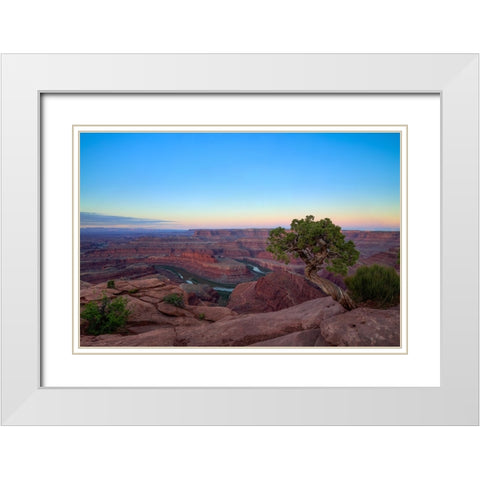 Lone Tree At Dead Horse Point White Modern Wood Framed Art Print with Double Matting by Sherrell, Bill