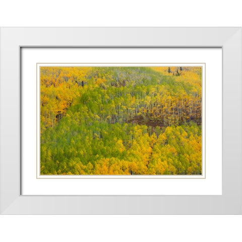 Transition White Modern Wood Framed Art Print with Double Matting by Sherrell, Bill