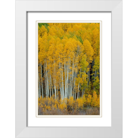 United We Stand 2 White Modern Wood Framed Art Print with Double Matting by Sherrell, Bill