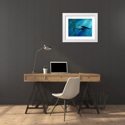 Hammerhead White Modern Wood Framed Art Print with Double Matting by Eskridge, Daniel