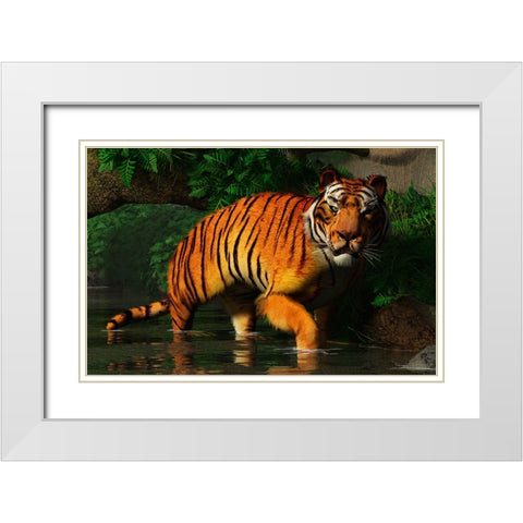 Wading Tiger White Modern Wood Framed Art Print with Double Matting by Eskridge, Daniel