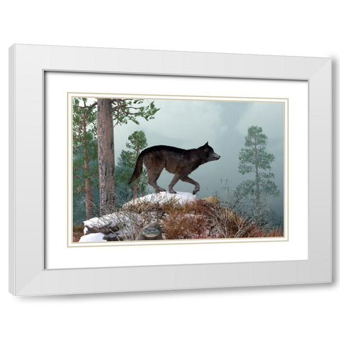 Winter Wolf White Modern Wood Framed Art Print with Double Matting by Eskridge, Daniel