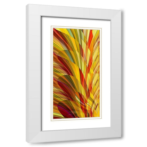 Flower Petals White Modern Wood Framed Art Print with Double Matting by Manlove, David