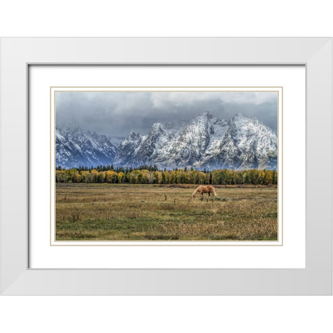Fine Dining In The Tetons White Modern Wood Framed Art Print with Double Matting by Galloimages Online