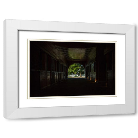 Horse Farm Barn (Inside And Out) White Modern Wood Framed Art Print with Double Matting by Galloimages Online