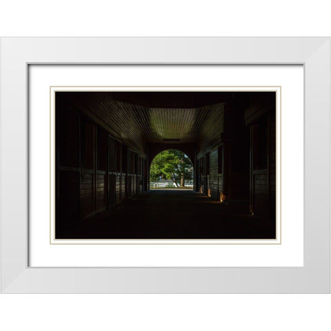 Horse Farm Barn (Inside And Out) White Modern Wood Framed Art Print with Double Matting by Galloimages Online