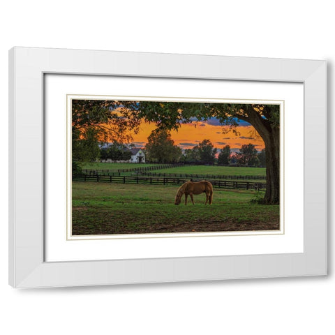 Horse Farm Sunset White Modern Wood Framed Art Print with Double Matting by Galloimages Online
