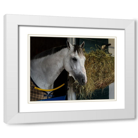 Pre-Race Wheaties White Modern Wood Framed Art Print with Double Matting by Galloimages Online