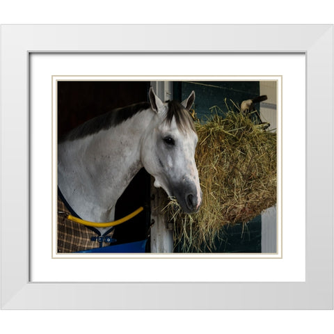 Pre-Race Wheaties White Modern Wood Framed Art Print with Double Matting by Galloimages Online