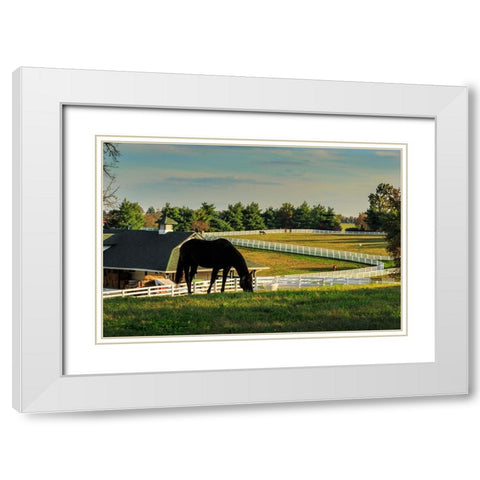 Sunset On The Farm White Modern Wood Framed Art Print with Double Matting by Galloimages Online