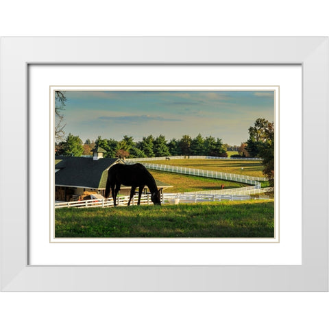 Sunset On The Farm White Modern Wood Framed Art Print with Double Matting by Galloimages Online