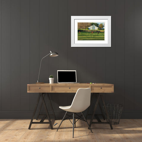 Horse Farm Landscape White Modern Wood Framed Art Print with Double Matting by Galloimages Online
