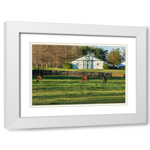 Horse Farm Landscape White Modern Wood Framed Art Print with Double Matting by Galloimages Online