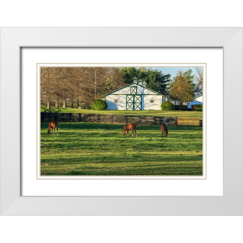 Horse Farm Landscape White Modern Wood Framed Art Print with Double Matting by Galloimages Online