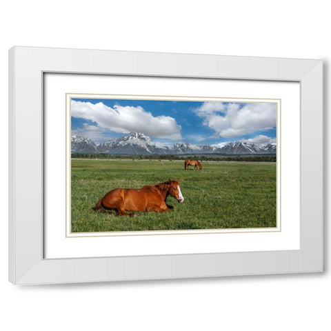 Teton Horses White Modern Wood Framed Art Print with Double Matting by Galloimages Online