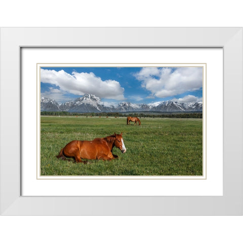 Teton Horses White Modern Wood Framed Art Print with Double Matting by Galloimages Online