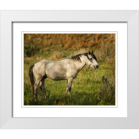 Wild Horse White Modern Wood Framed Art Print with Double Matting by Galloimages Online