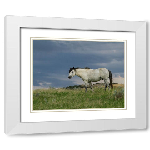 Wild Horse - Stallion (Storm) White Modern Wood Framed Art Print with Double Matting by Galloimages Online