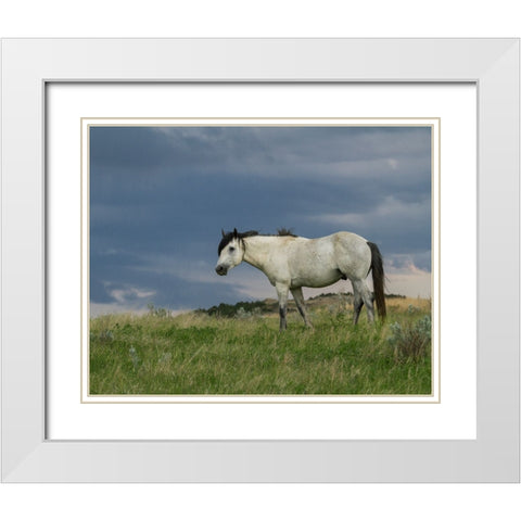 Wild Horse - Stallion (Storm) White Modern Wood Framed Art Print with Double Matting by Galloimages Online