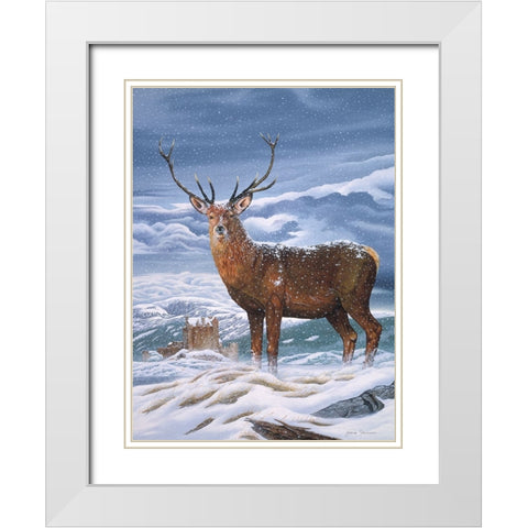 Royal Scot White Modern Wood Framed Art Print with Double Matting by Stevenson, Graeme