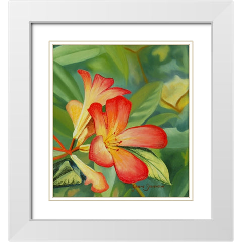 Small Red Flower White Modern Wood Framed Art Print with Double Matting by Stevenson, Graeme