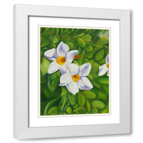White Flower White Modern Wood Framed Art Print with Double Matting by Stevenson, Graeme