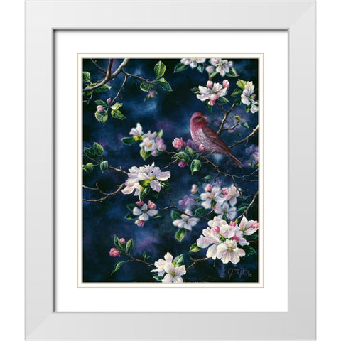 Bird White Modern Wood Framed Art Print with Double Matting by Tift, Jeff
