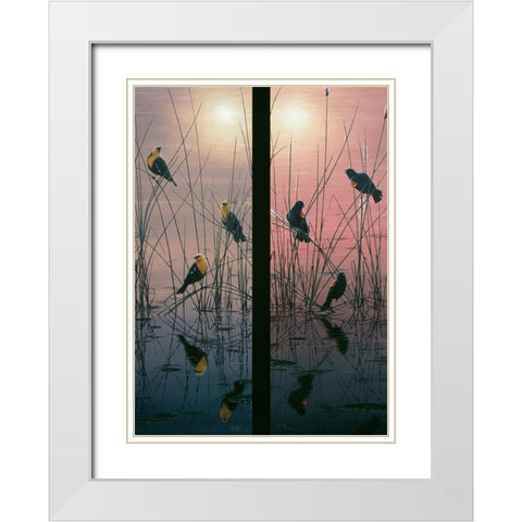 Red Winged And Yellow Headed Blackbirds White Modern Wood Framed Art Print with Double Matting by Tift, Jeff