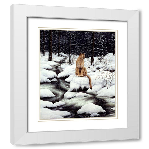 Cougar White Modern Wood Framed Art Print with Double Matting by Tift, Jeff