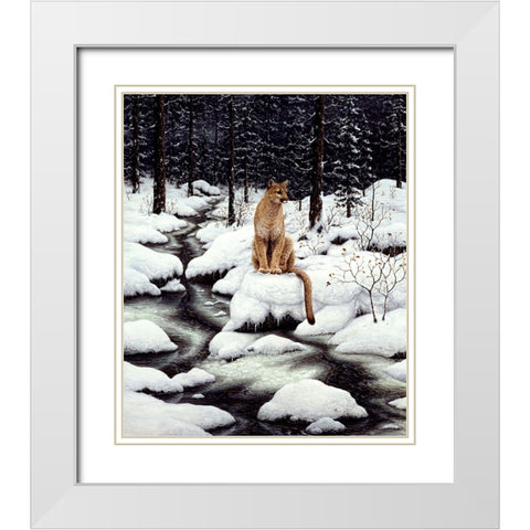Cougar White Modern Wood Framed Art Print with Double Matting by Tift, Jeff