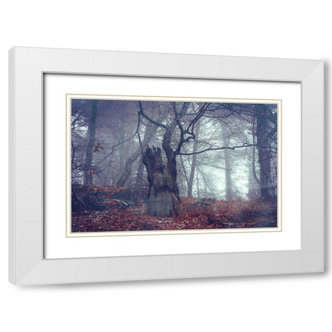 Celtic Guardian White Modern Wood Framed Art Print with Double Matting by Jenny Rainbow Fine Art