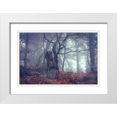 Celtic Guardian White Modern Wood Framed Art Print with Double Matting by Jenny Rainbow Fine Art