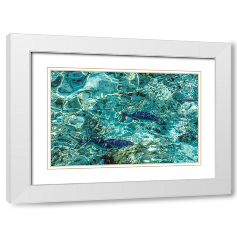 Maldives Fishes in the Clear Water 1 White Modern Wood Framed Art Print with Double Matting by Jenny Rainbow Fine Art