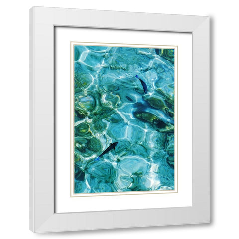 Maldives Fishes in the Clear Water 2 White Modern Wood Framed Art Print with Double Matting by Jenny Rainbow Fine Art