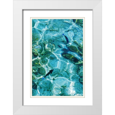 Maldives Fishes in the Clear Water 2 White Modern Wood Framed Art Print with Double Matting by Jenny Rainbow Fine Art