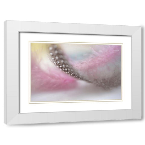 Angels Flight Series Nightingales Trill White Modern Wood Framed Art Print with Double Matting by Jenny Rainbow Fine Art