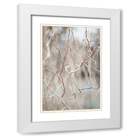 Lost World White Modern Wood Framed Art Print with Double Matting by Jenny Rainbow Fine Art