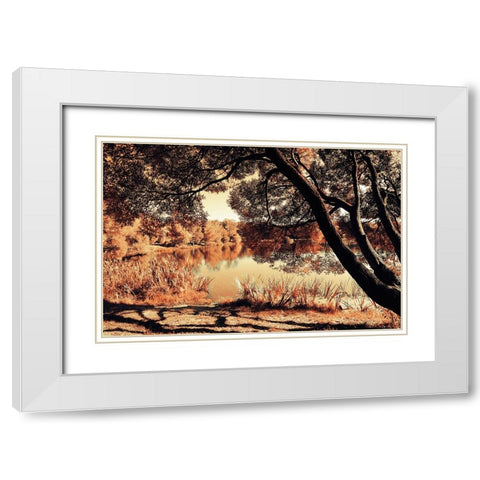 Miracle Airy Lace of Autumn White Modern Wood Framed Art Print with Double Matting by Jenny Rainbow Fine Art