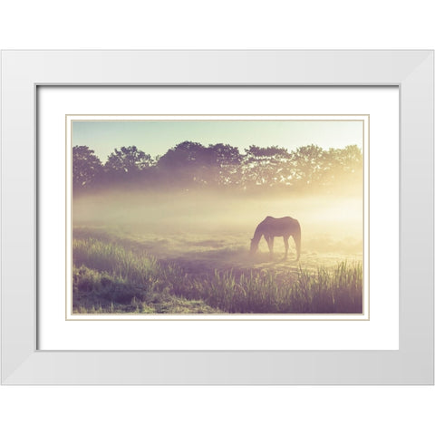 Misty Morning on the Dutch Field White Modern Wood Framed Art Print with Double Matting by Jenny Rainbow Fine Art